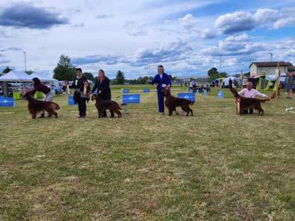 IMG-20260517-WA0004