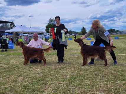 IMG-20260517-WA0009