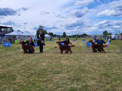 IMG-20260517-WA0010