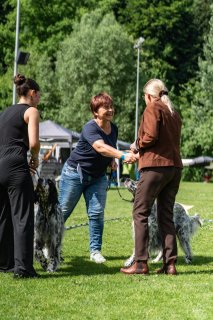 Clubshow20250071