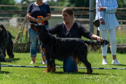 DSC09412