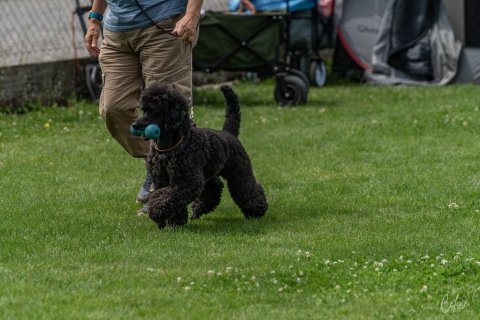 DSC09594