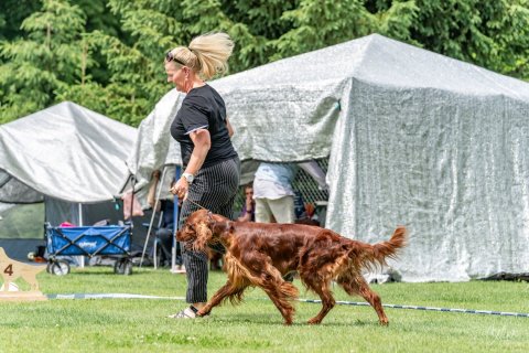 DSC09627