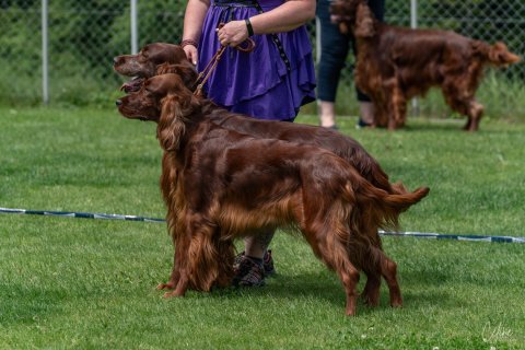 DSC09854