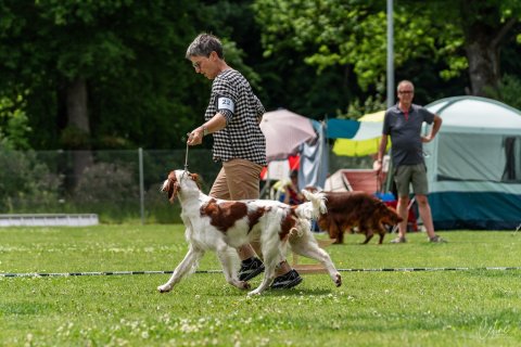 DSC099991