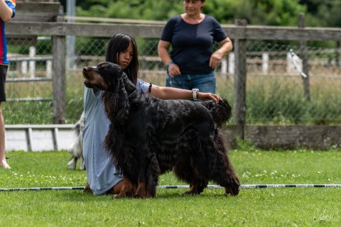 DSC0999992