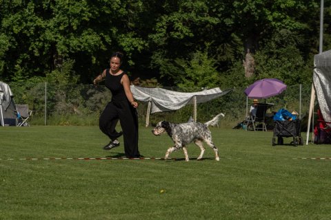 DSC07811