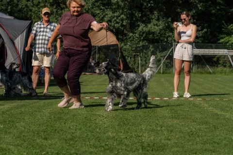 DSC07842