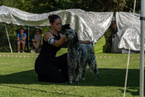 DSC07849
