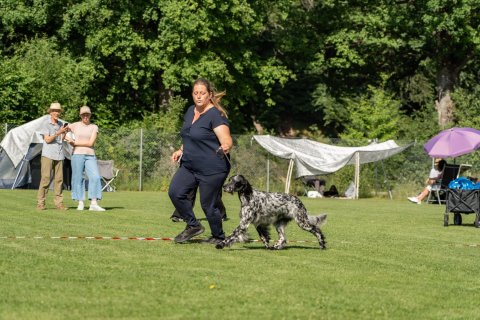 DSC07871