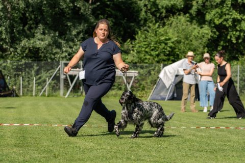 DSC07874