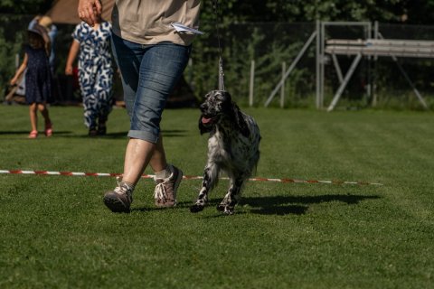 DSC07882