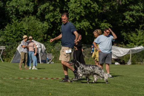 DSC07886