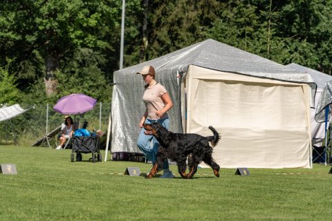 DSC07916