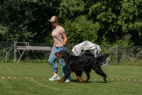 DSC07918