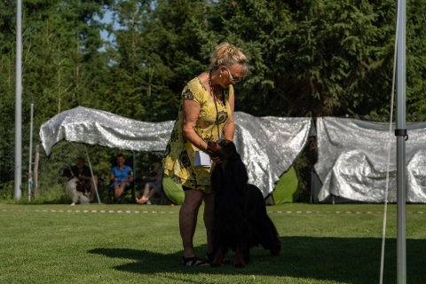 DSC07925
