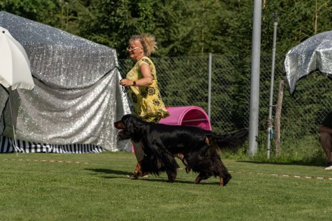 DSC07930