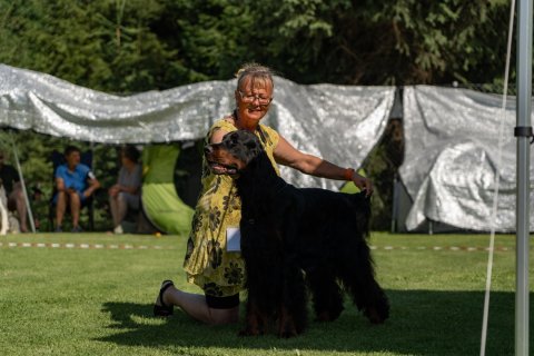DSC07937