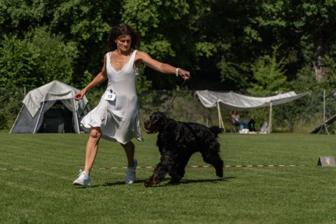 DSC07947