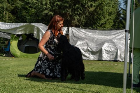 DSC07970