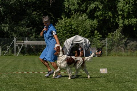 DSC08013