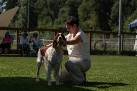 DSC08015