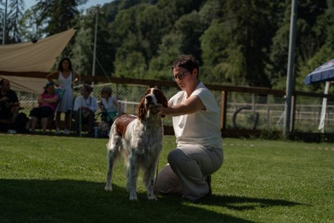 DSC08016