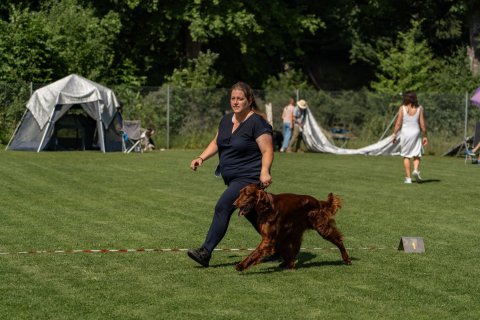 DSC08055