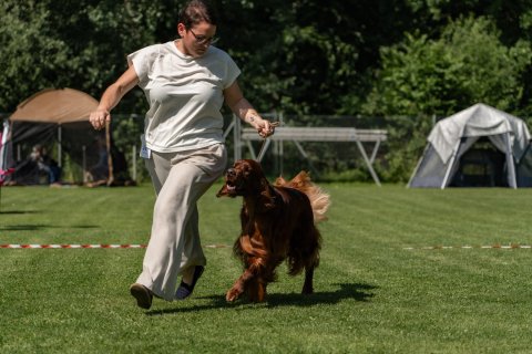 DSC08091