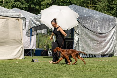 DSC08127