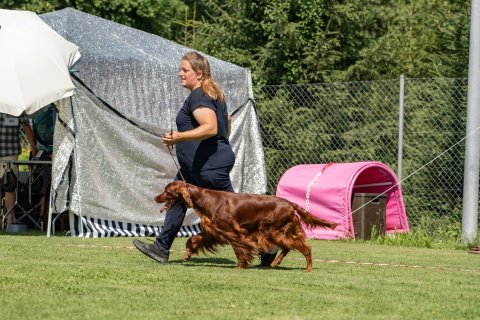 DSC08196