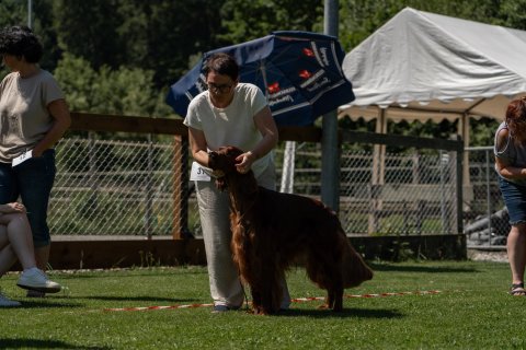 DSC08260