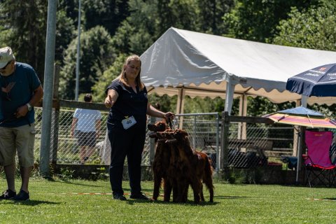 DSC08305-2