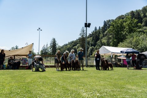 DSC08306-2