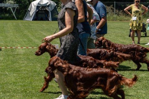 DSC08318-2