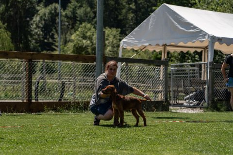 DSC08350-2