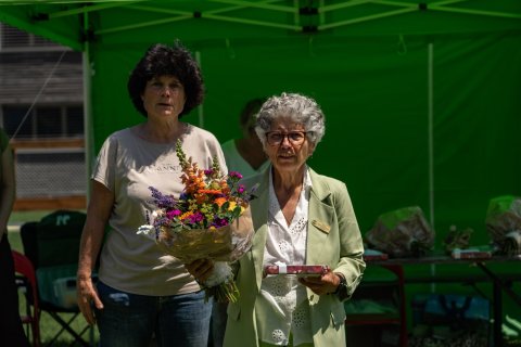 DSC08445-2