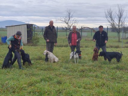 584721026_1275914967904043_7714801160585205856_n