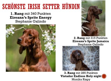 Jahreswettbewerbe-10