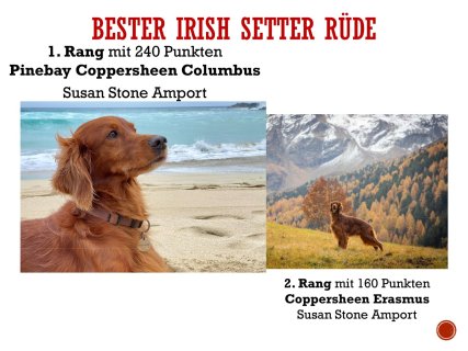 Jahreswettbewerbe-11