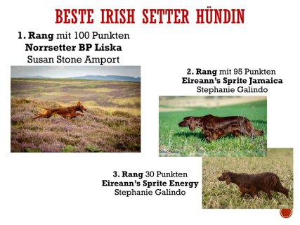 Jahreswettbewerbe-12