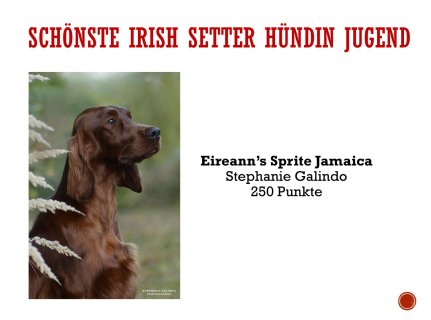 Jahreswettbewerbe-14