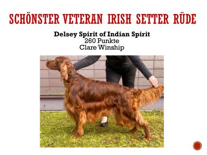 Jahreswettbewerbe-15