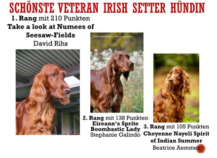 Jahreswettbewerbe-16