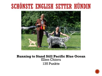 Jahreswettbewerbe-18