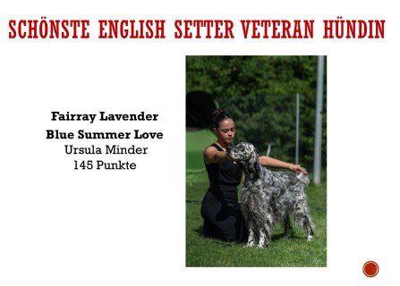 Jahreswettbewerbe-19