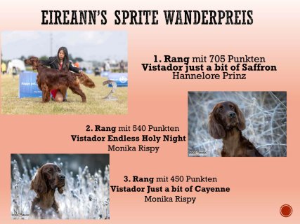 Jahreswettbewerbe-21