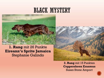 Jahreswettbewerbe-23