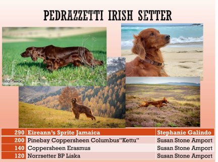 Jahreswettbewerbe-26