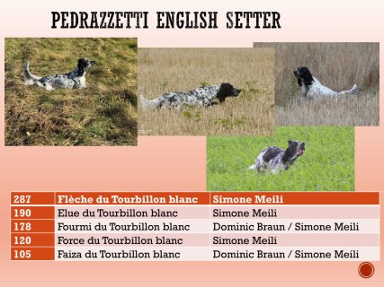 Jahreswettbewerbe-27